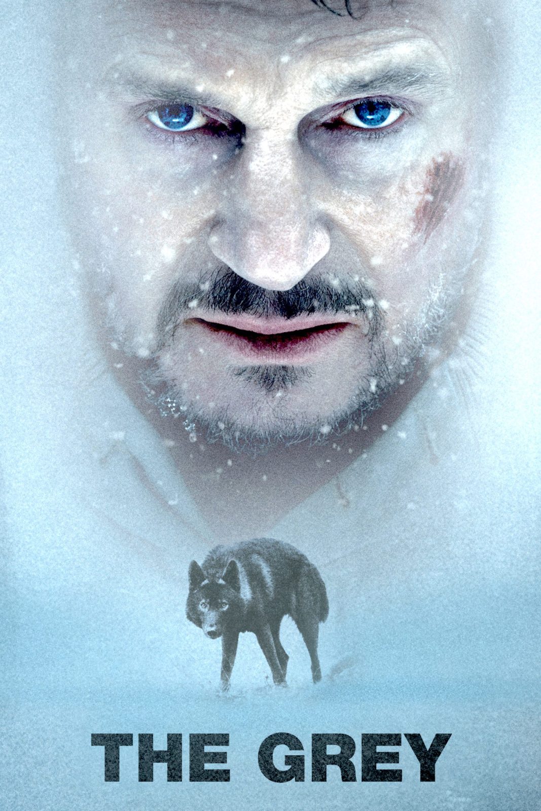 دانلود فیلم The Grey 2011